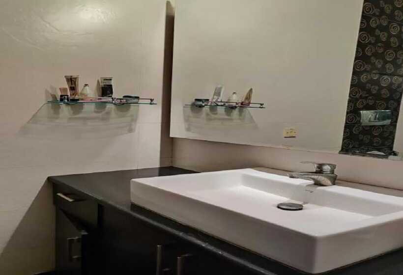 A Sleepy Fox   Hostel