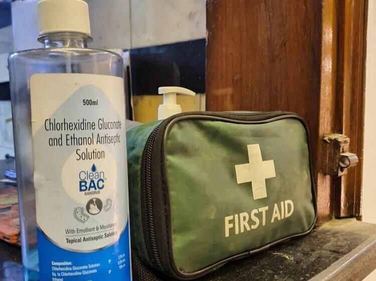 A Sleepy Fox   Hostel