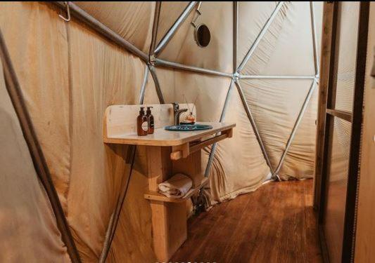 هاستل Big Bang Nature Stays