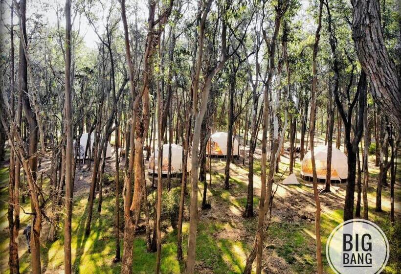 هاستل Big Bang Nature Stays