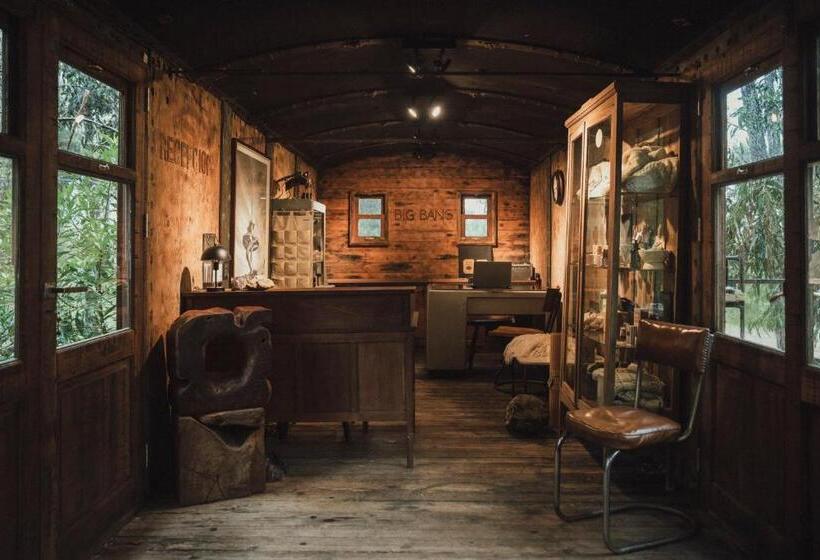 هاستل Big Bang Nature Stays