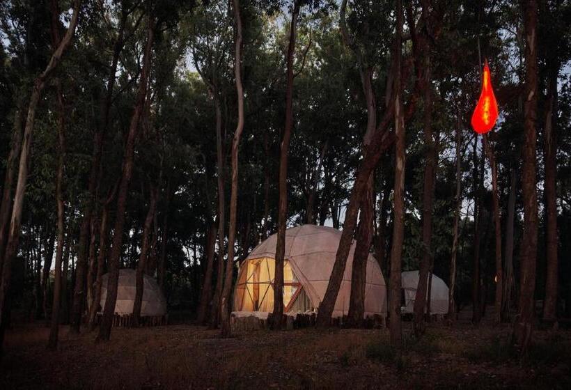 هاستل Big Bang Nature Stays