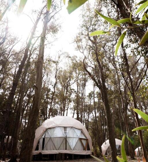 هاستل Big Bang Nature Stays