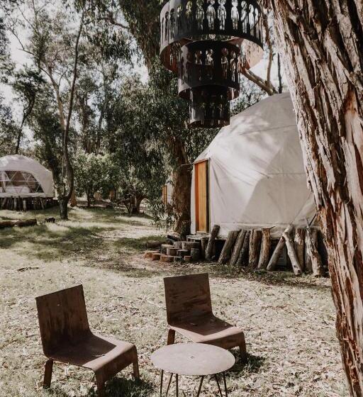 هاستل Big Bang Nature Stays