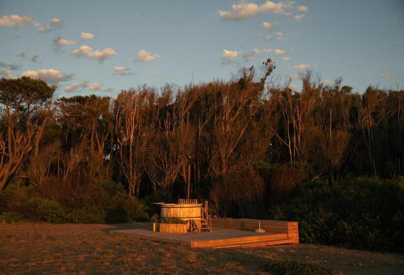 هاستل Big Bang Nature Stays