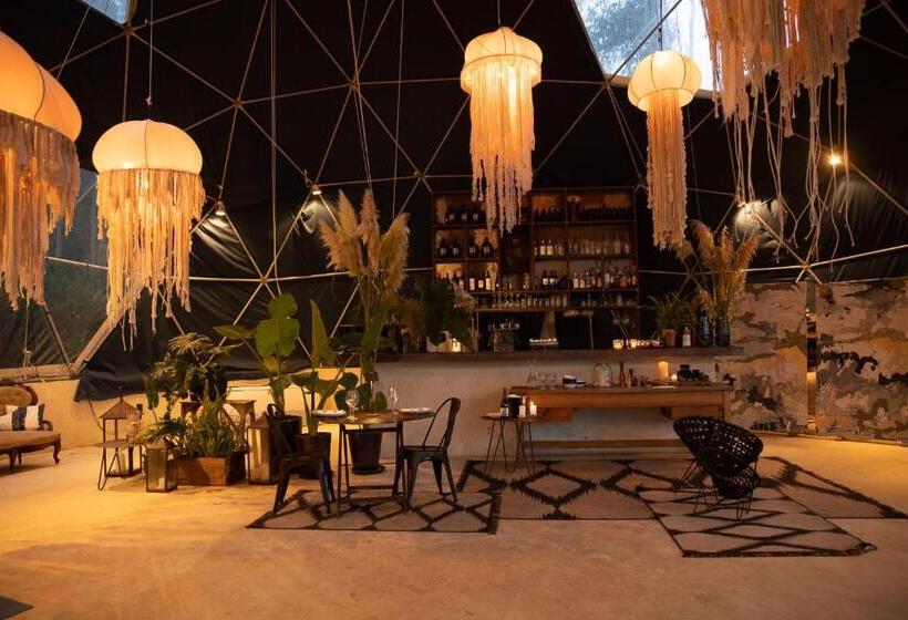 هاستل Big Bang Nature Stays