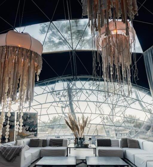 هاستل Big Bang Nature Stays