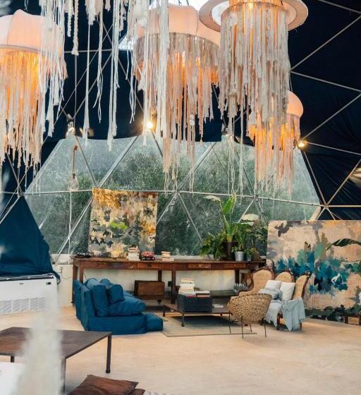 هاستل Big Bang Nature Stays