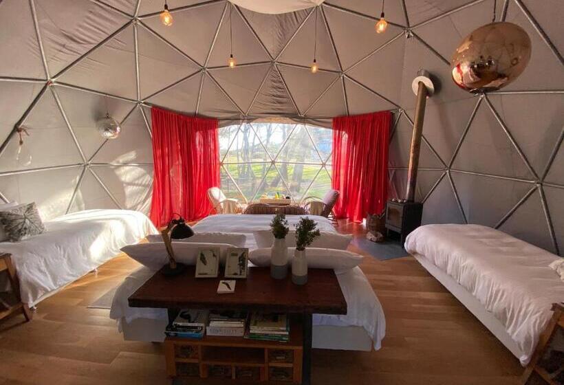 هاستل Big Bang Nature Stays