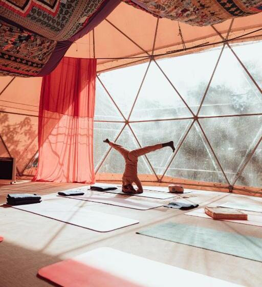 هاستل Big Bang Nature Stays