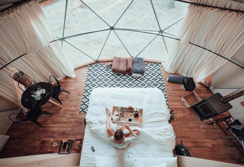 هاستل Big Bang Nature Stays