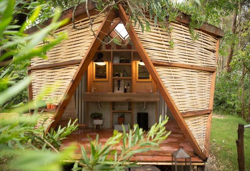 هاستل Big Bang Nature Stays