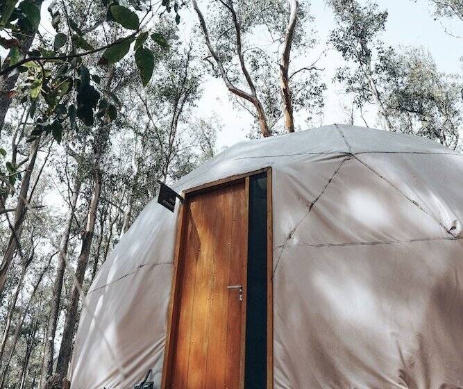 هاستل Big Bang Nature Stays