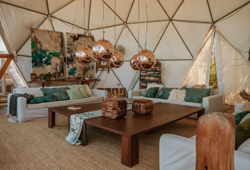 هاستل Big Bang Nature Stays