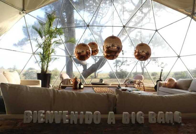 هاستل Big Bang Nature Stays