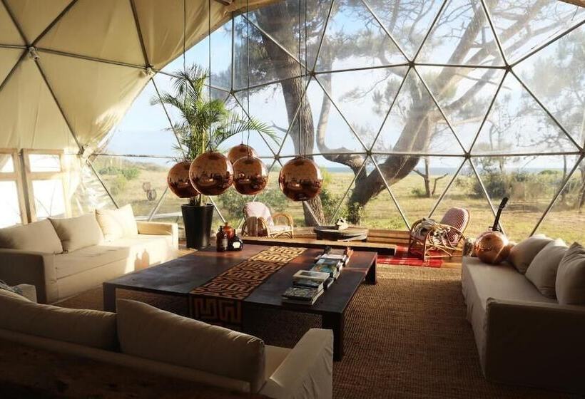 هاستل Big Bang Nature Stays