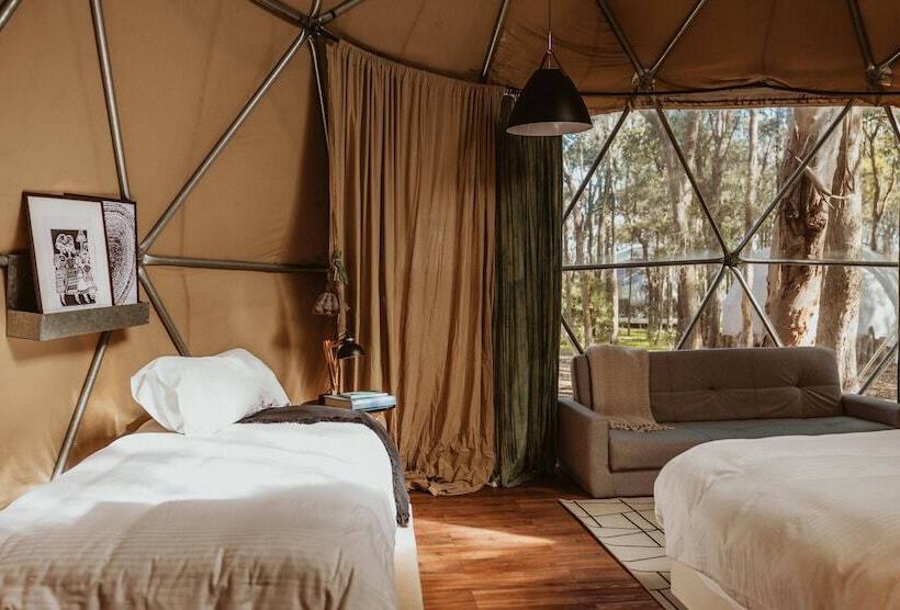 هاستل Big Bang Nature Stays