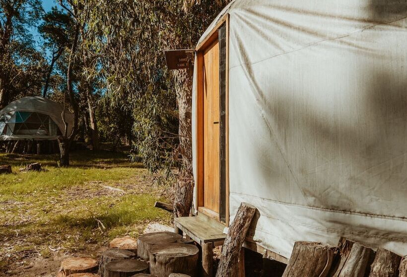 هاستل Big Bang Nature Stays