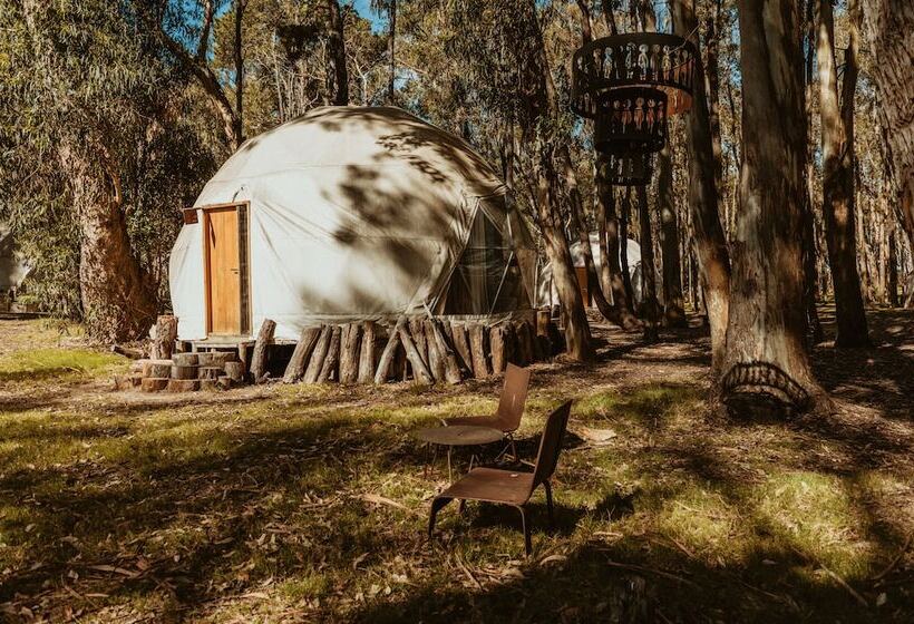 هاستل Big Bang Nature Stays