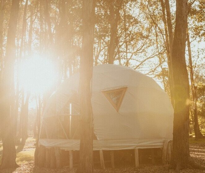 هاستل Big Bang Nature Stays