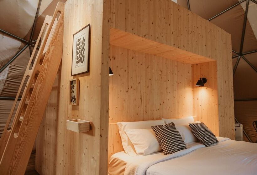 هاستل Big Bang Nature Stays