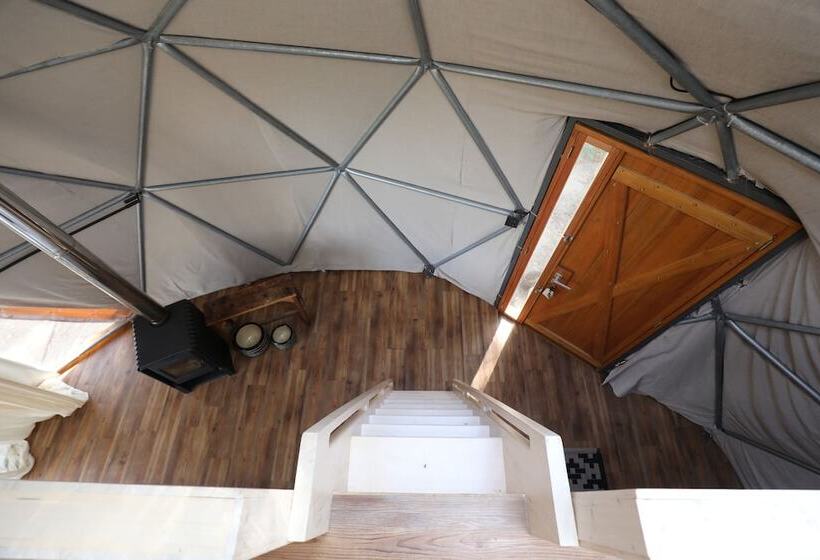 هاستل Big Bang Nature Stays