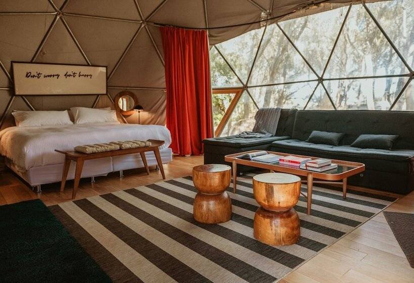 هاستل Big Bang Nature Stays