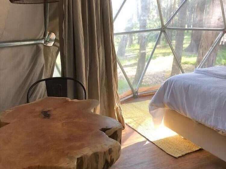 هاستل Big Bang Nature Stays