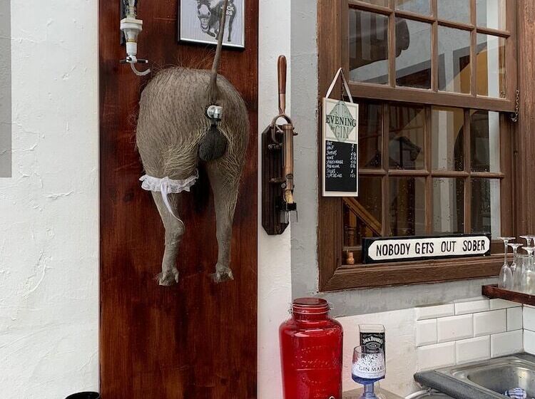 민박 Ziggys Mountain Retreat