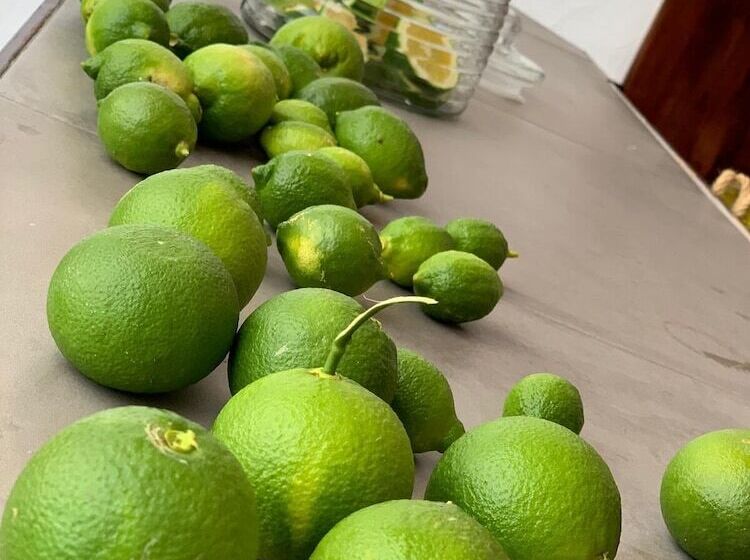 민박 Ziggys Mountain Retreat