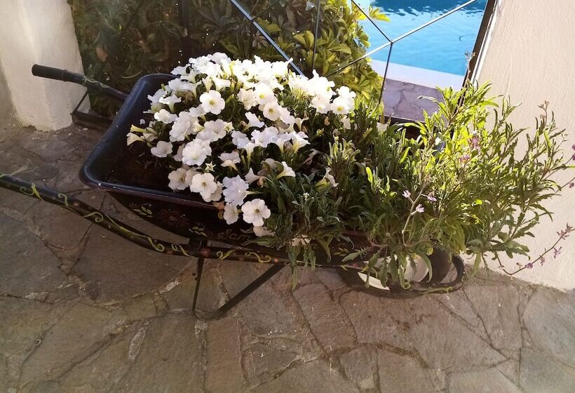 민박 Ziggys Mountain Retreat