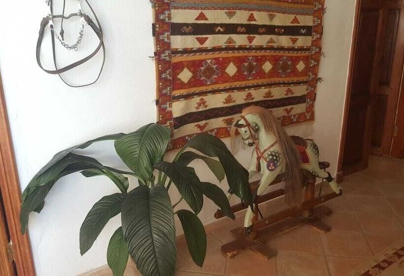 민박 Ziggys Mountain Retreat