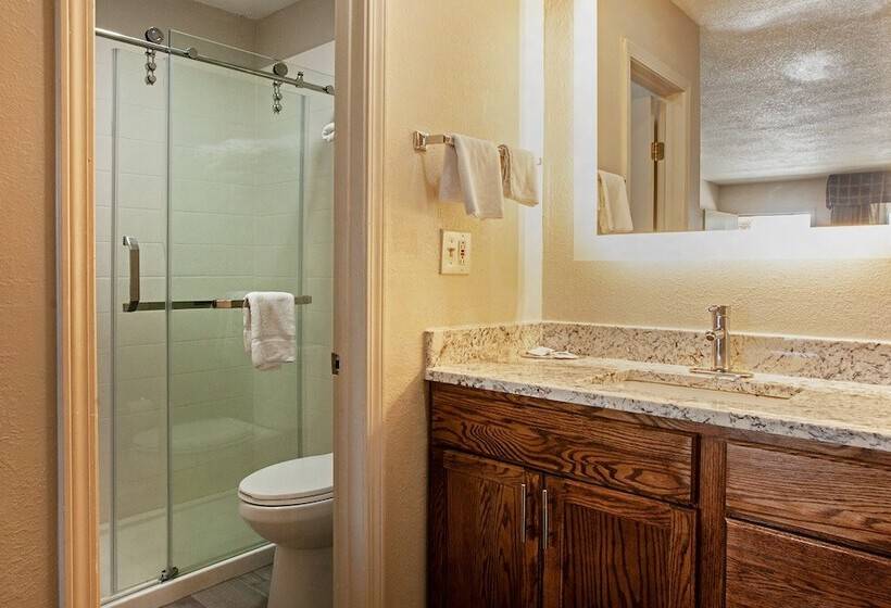 Magnolia Motel Donaldsonville   St. James