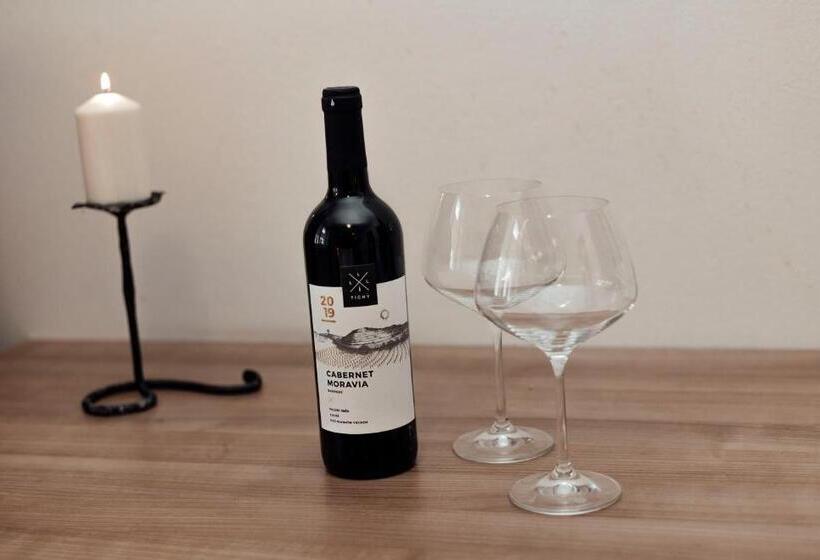 膳宿费 Penzion Vermon