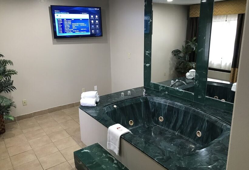 Отель Baymont By Wyndham Grand Rapids Airport