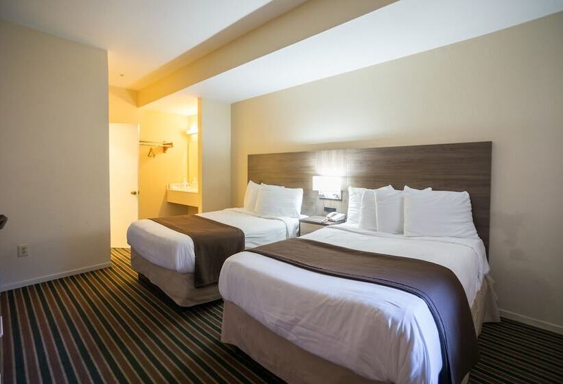 فندق Beachview Inn