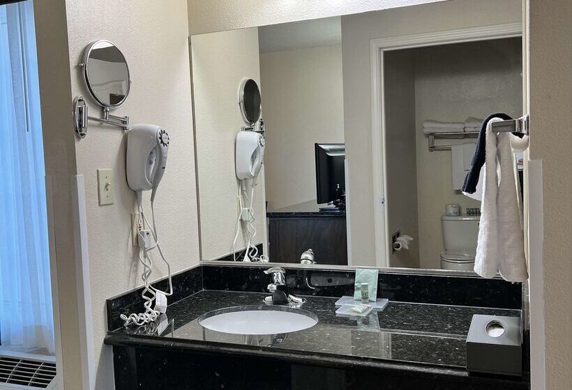 호텔 Best Western Americana