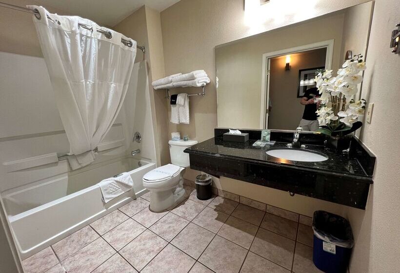 호텔 Best Western Americana