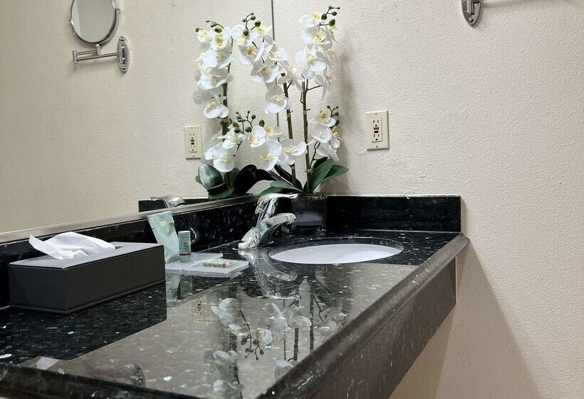 호텔 Best Western Americana