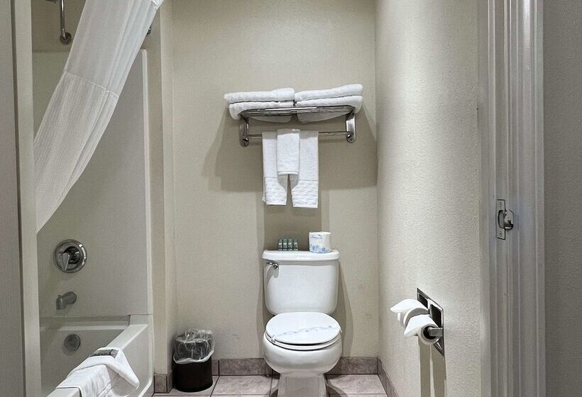 호텔 Best Western Americana