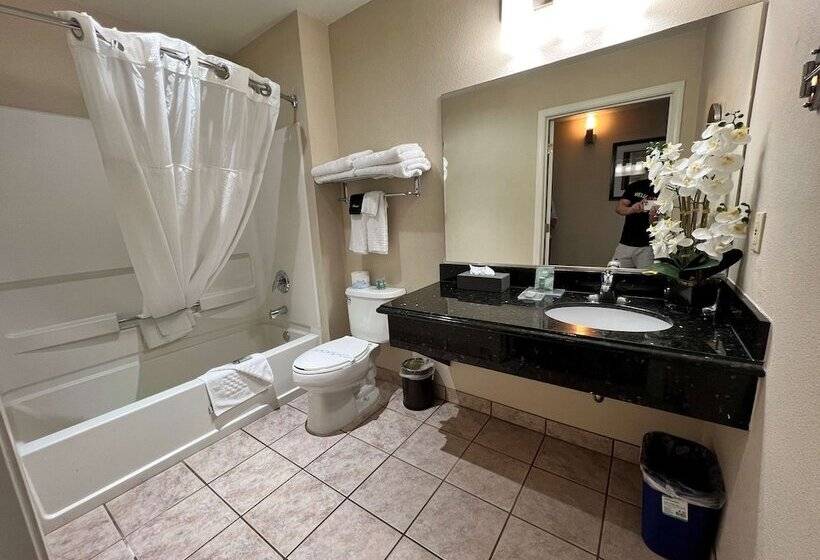 호텔 Best Western Americana