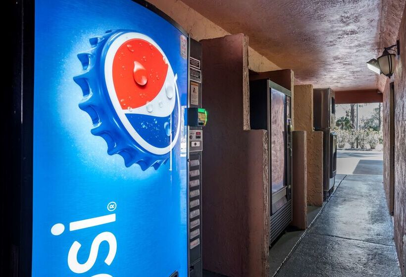 酒店 Best Western Apalach Inn