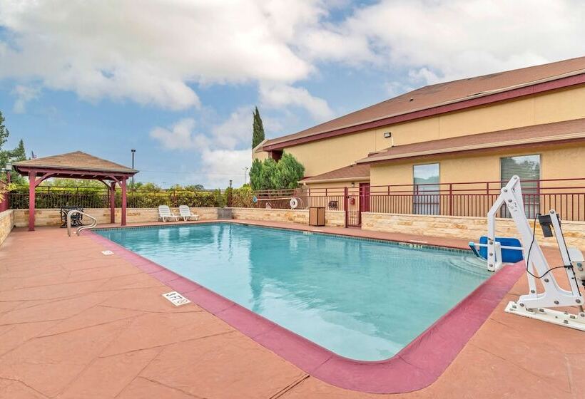 Отель Best Western Brady Inn