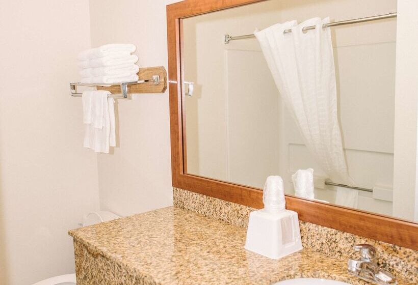 هتل Best Western Buffalo Ridge Inn Near Mt Rushmore