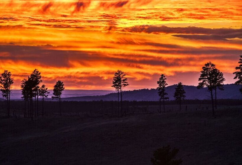 هتل Best Western Buffalo Ridge Inn Near Mt Rushmore
