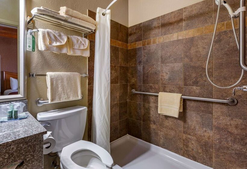 בית מלון כפרי Best Western Canyon De Chelly Inn