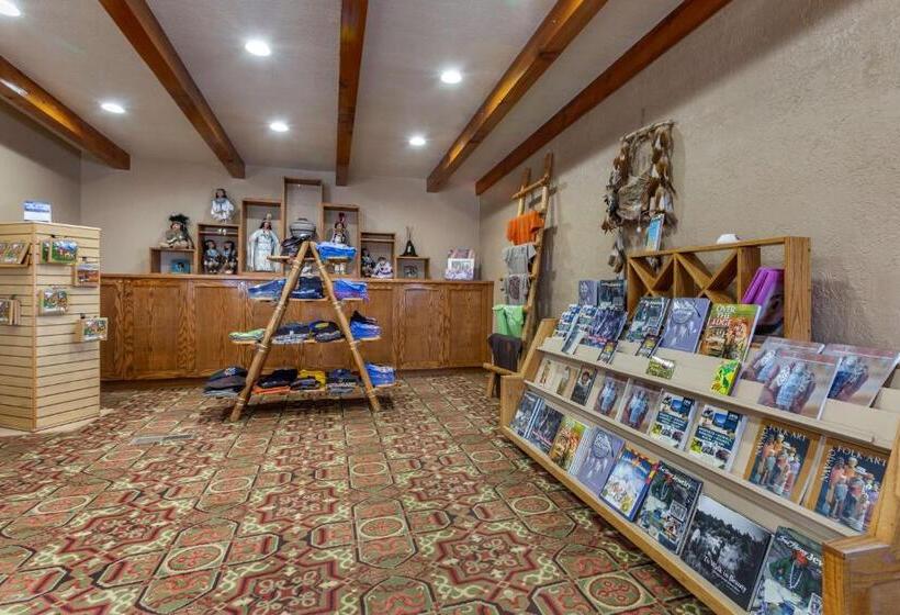 فندق Best Western Canyon De Chelly Inn