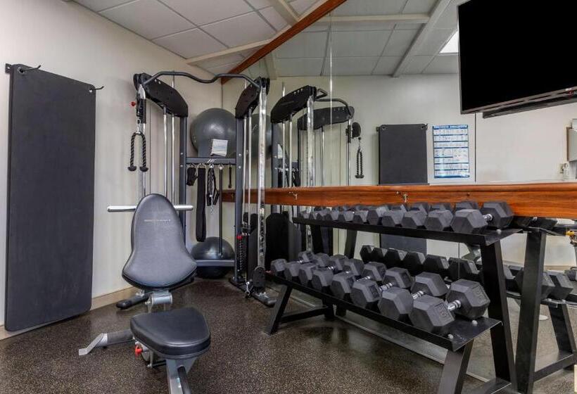 فندق Best Western Canyon De Chelly Inn