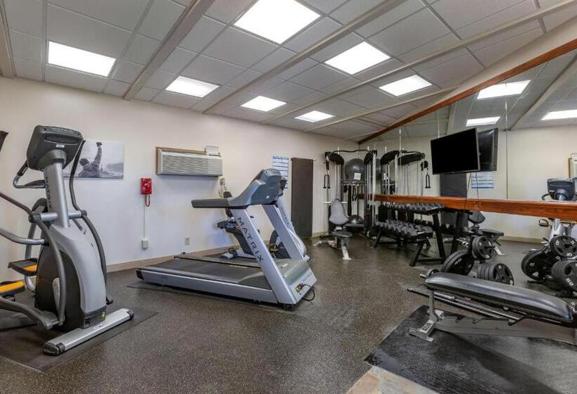 בית מלון כפרי Best Western Canyon De Chelly Inn