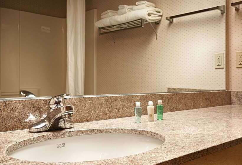 فندق Best Western Circus City Inn